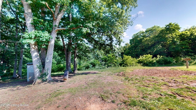 181 Pendleton Ave, Bedford, KY 40006 - photo 39