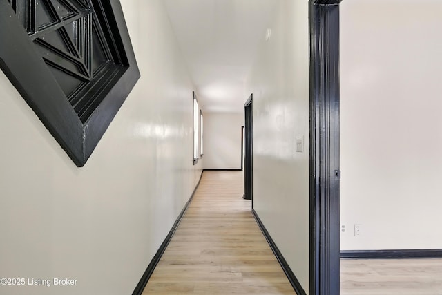 1102 E Saint Catherine St, Louisville, KY 40204 - photo 4