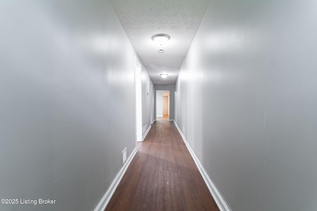 903 Beecher St, Louisville, KY 40215 - photo 3