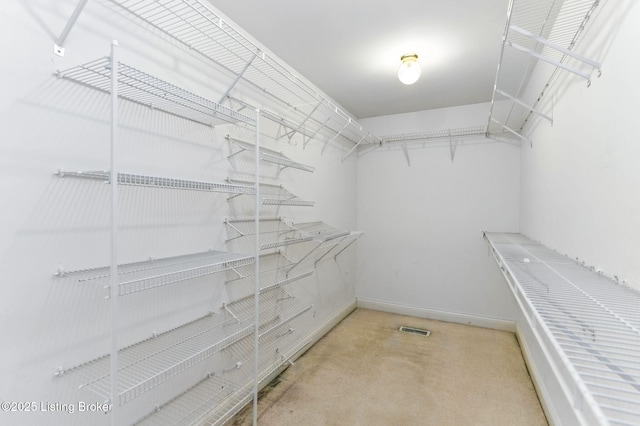 14408 Champion Woods Pl, Louisville, KY 40245 - photo 25
