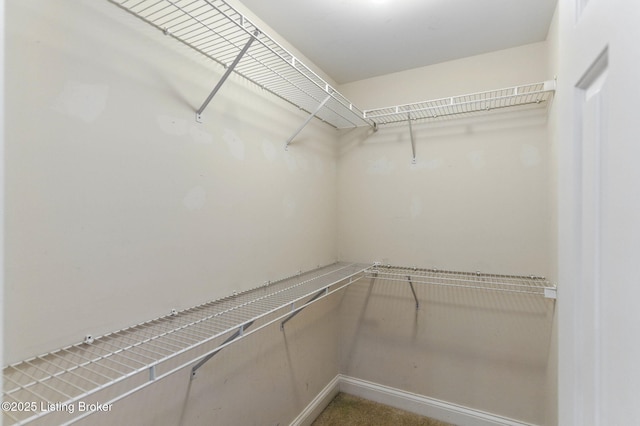 14408 Champion Woods Pl, Louisville, KY 40245 - photo 34