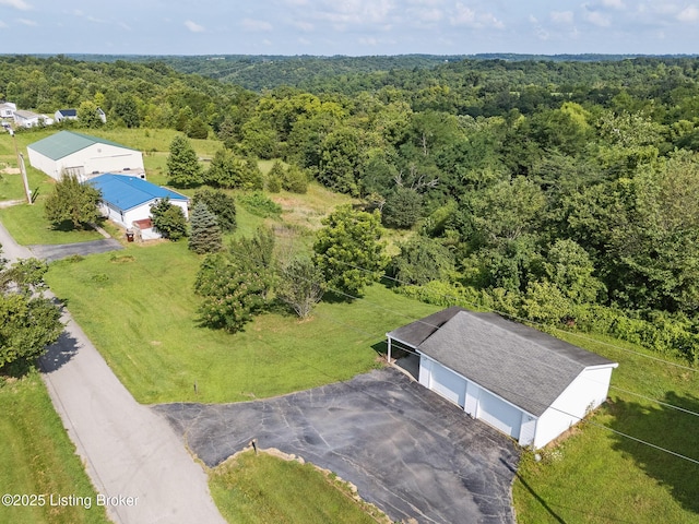 3670 New Hope Rd, Bedford, KY 40006 - photo 10