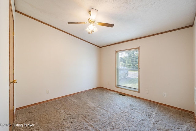 3670 New Hope Rd, Bedford, KY 40006 - photo 43