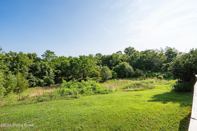 3670 New Hope Rd, Bedford, KY 40006 - photo 45
