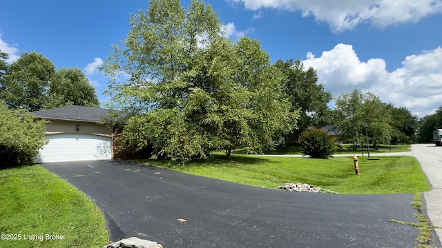 13015 Pine Hill Ct, Prospect, KY 40059 - photo 50