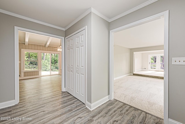 1209 Potomac Pl, Louisville, KY 40214 - photo 4