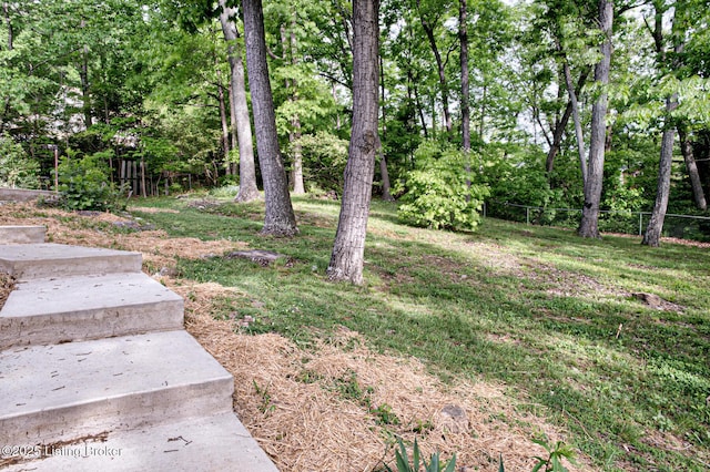 1209 Potomac Pl, Louisville, KY 40214 - photo 45