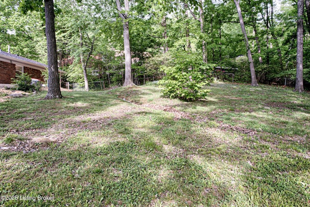 1209 Potomac Pl, Louisville, KY 40214 - photo 46