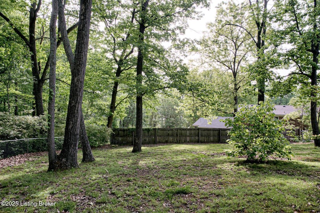 1209 Potomac Pl, Louisville, KY 40214 - photo 49