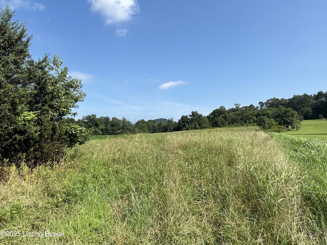0 Paul Harned Rd, Lebanon Junction, KY 40150 - photo 3