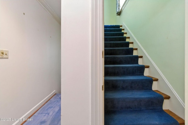 123 Arrowhead Rd, Louisville, KY 40207 - photo 34