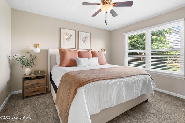 3901 Mimosa View Dr, Louisville, KY 40299 - photo 14