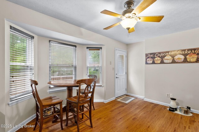 4405 Bay Run Ct, Louisville, KY 40245 - photo 9