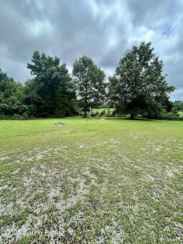 170 Vanmeter Rd, Leitchfield, KY 42754 - photo 12