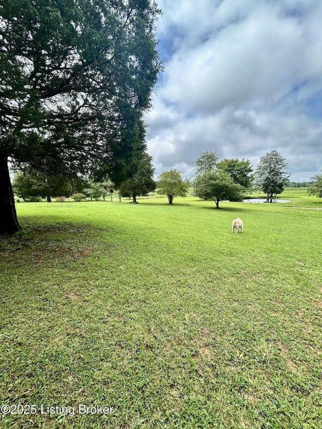 170 Vanmeter Rd, Leitchfield, KY 42754 - photo 8