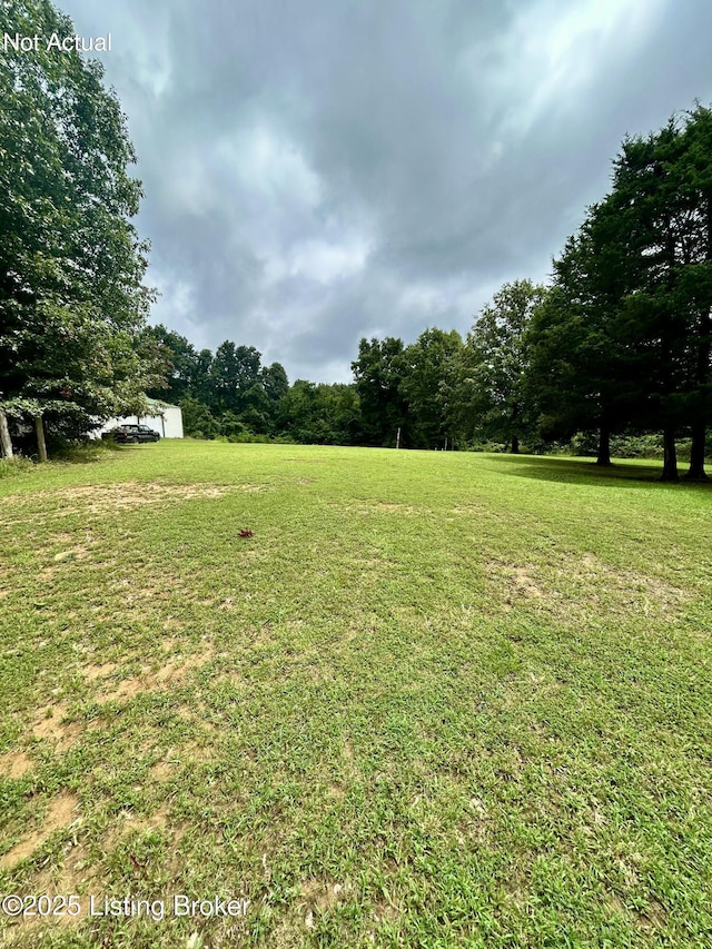 170 Vanmeter Rd, Leitchfield, KY 42754 - photo 10