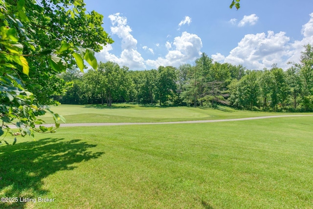 6926 Wythe Hill Cir, Prospect, KY 40059 - photo 28