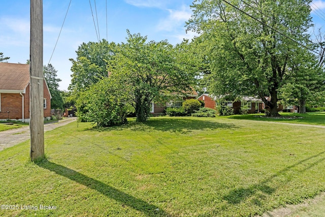 1715 Larkmoor Ln, Louisville, KY 40218 - photo 3