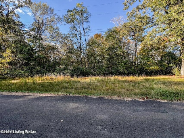 1 Scotts Chappel Rd, Jamestown, KY 42629 - photo 5