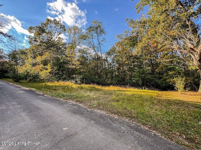 1 Scotts Chappel Rd, Jamestown, KY 42629 - photo 6
