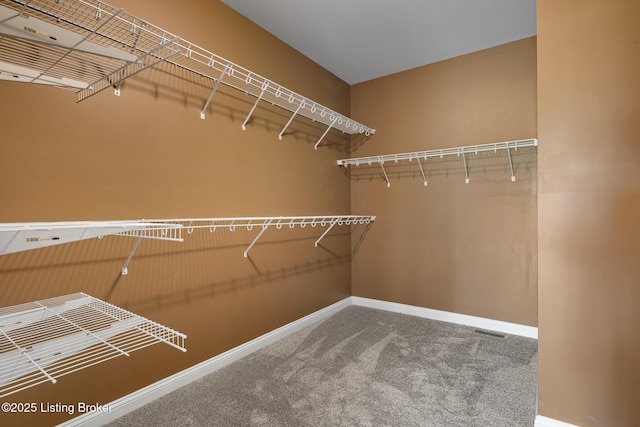 1405 Hobbs Ln, Coxs Creek, KY 40013 - photo 32