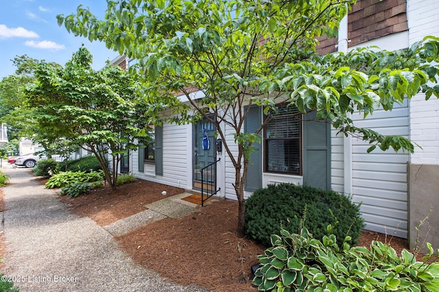 211 Fairfax Ave Unit 3, Louisville, KY 40207 - photo 2