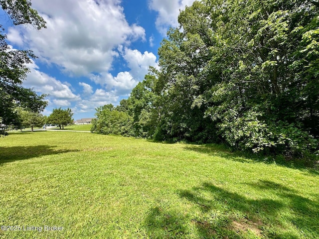 180 Mcdonald Rd, Leitchfield, KY 42754 - photo 6