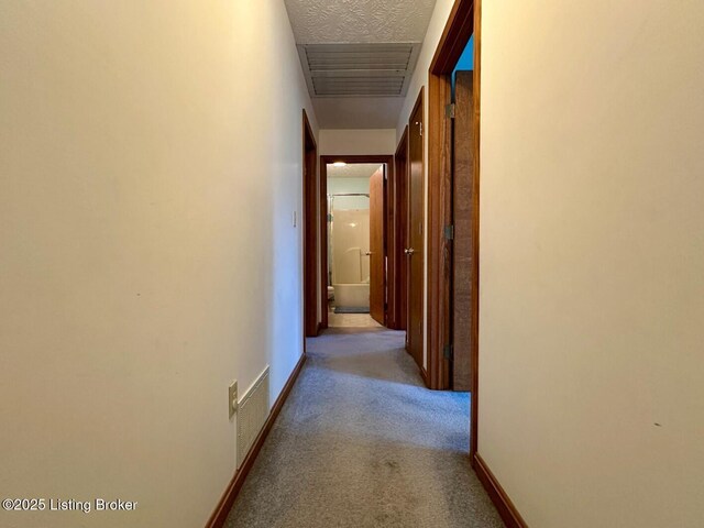 180 Mcdonald Rd, Leitchfield, KY 42754 - photo 24