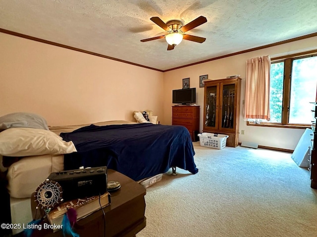 180 Mcdonald Rd, Leitchfield, KY 42754 - photo 32