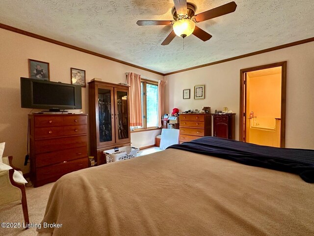 180 Mcdonald Rd, Leitchfield, KY 42754 - photo 34