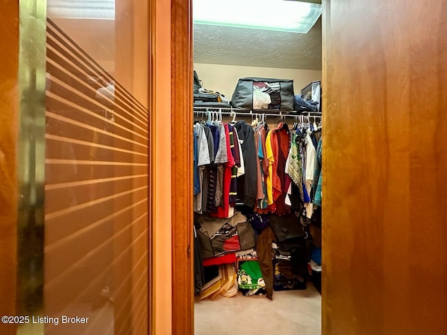 180 Mcdonald Rd, Leitchfield, KY 42754 - photo 39