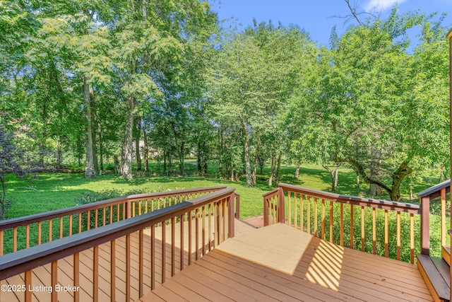 309 Bent Tree Ct, Louisville, KY 40223 - photo 48