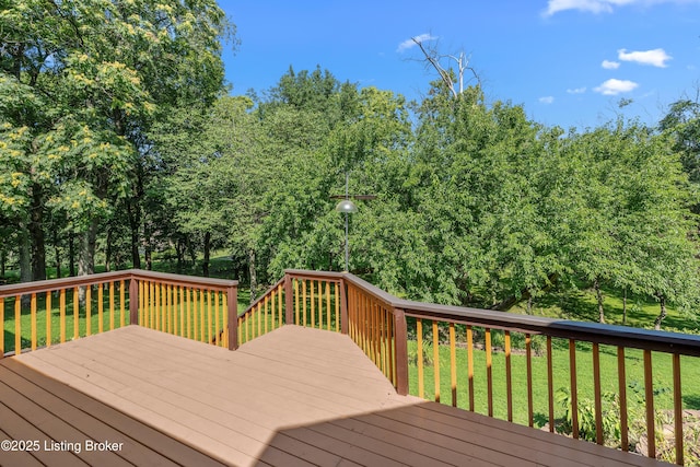 309 Bent Tree Ct, Louisville, KY 40223 - photo 50