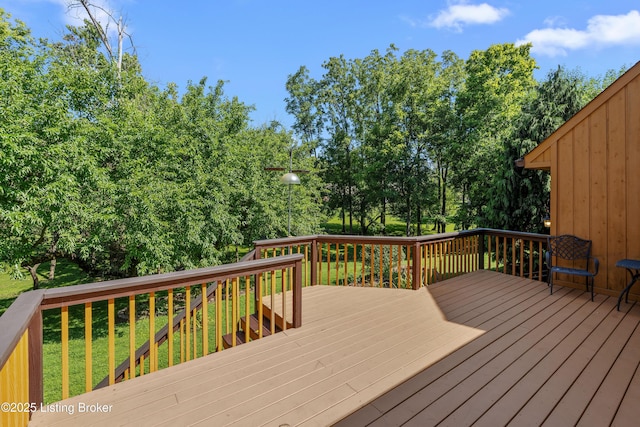 309 Bent Tree Ct, Louisville, KY 40223 - photo 51