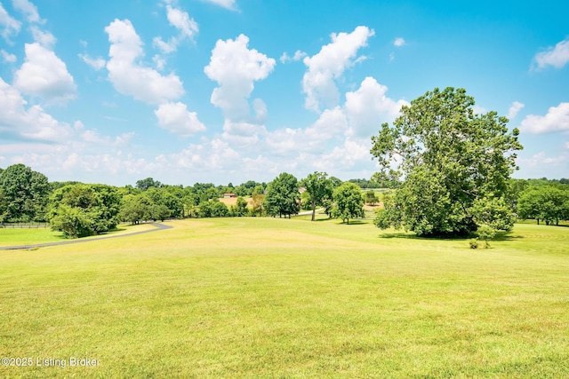 407 Stanton Way, Pendleton, KY 40055 - photo 88