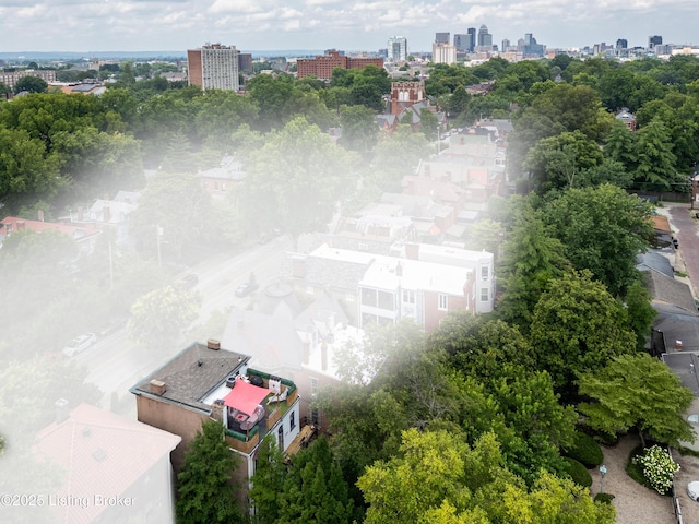 1343 S 1st St # 2, Louisville, KY 40208 - photo 48
