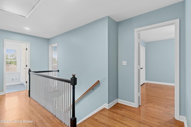 3602 Rems Rd, Louisville, KY 40241 - photo 14