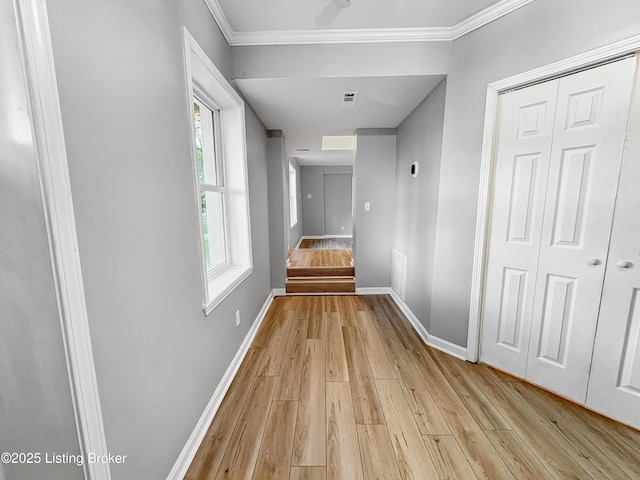 10527 Fairview Ave, Jeffersontown, KY 40299 - photo 9