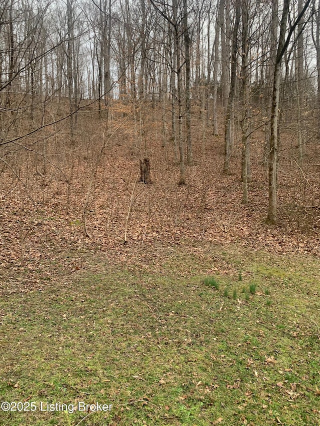 0 Old Dunbar Rd, Russell Springs, KY 42642 - photo 22