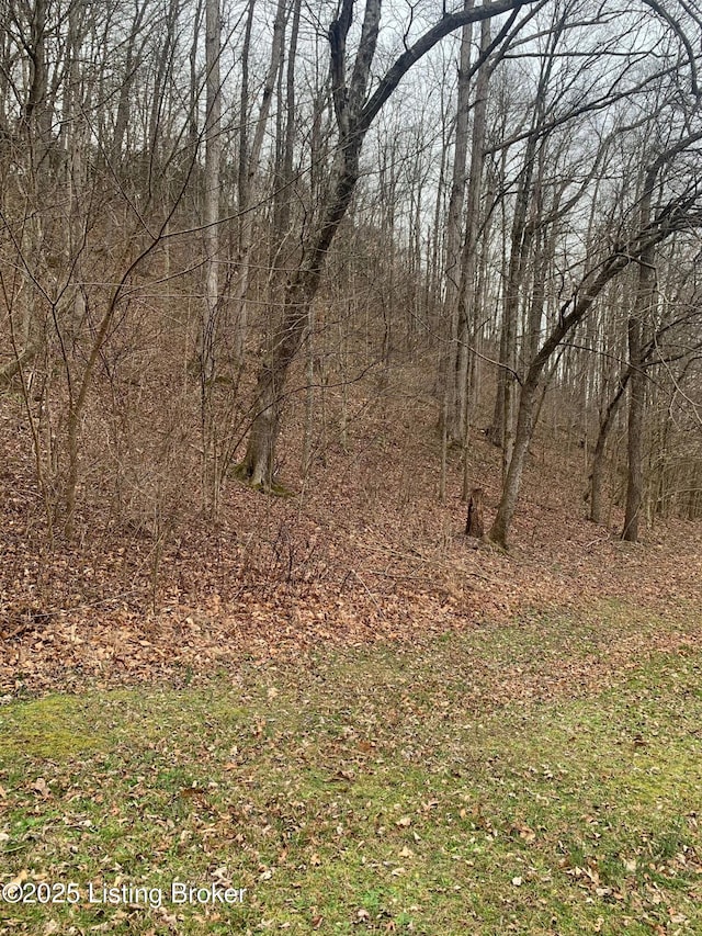 0 Old Dunbar Rd, Russell Springs, KY 42642 - photo 29