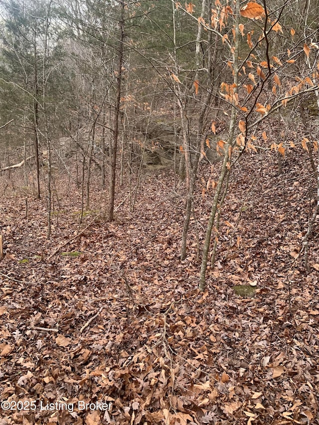 0 Old Dunbar Rd, Russell Springs, KY 42642 - photo 31