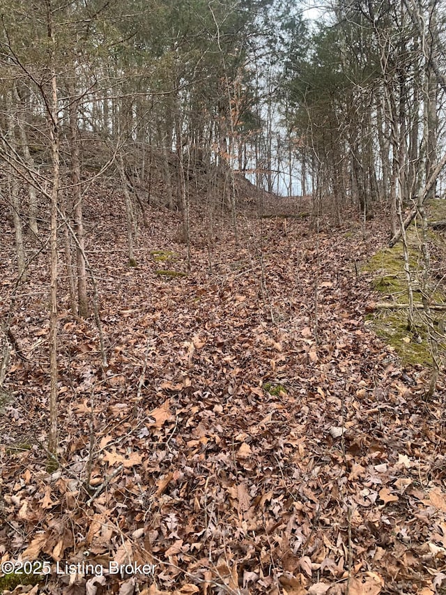 0 Old Dunbar Rd, Russell Springs, KY 42642 - photo 32