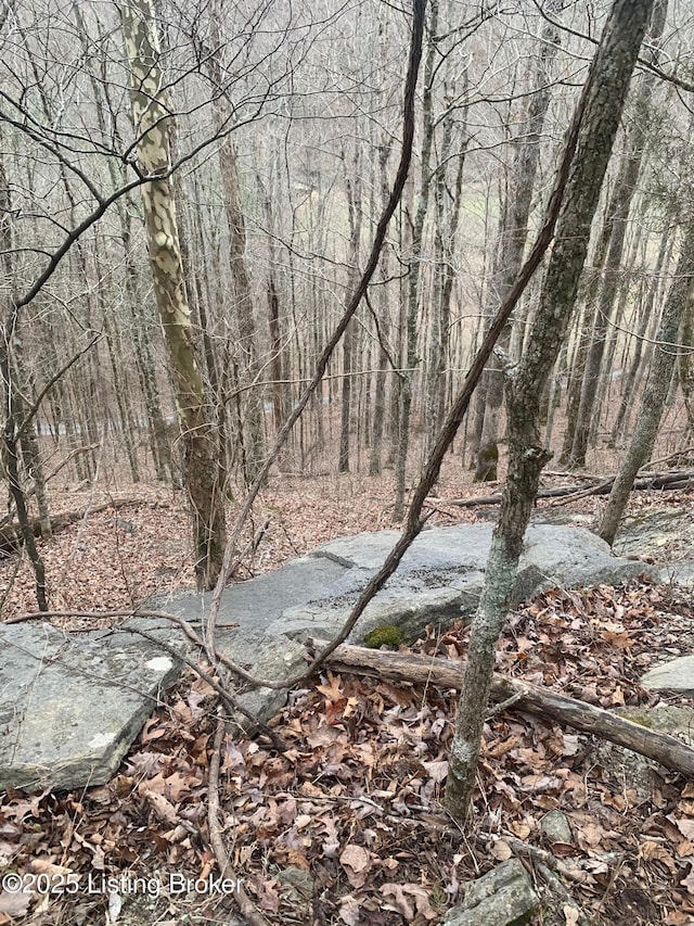 0 Old Dunbar Rd, Russell Springs, KY 42642 - photo 34