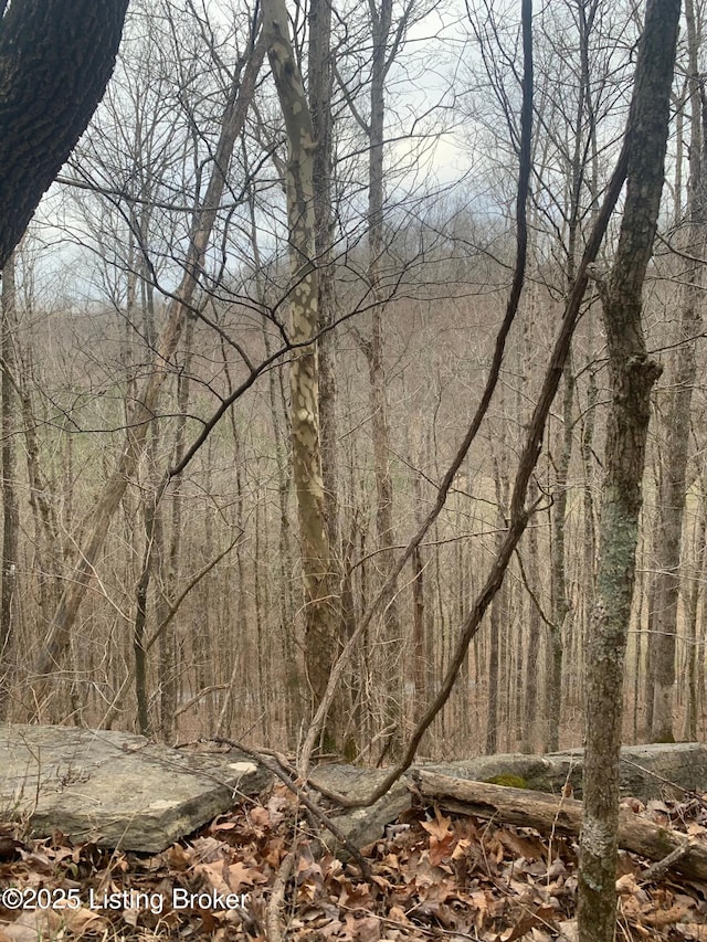 0 Old Dunbar Rd, Russell Springs, KY 42642 - photo 35
