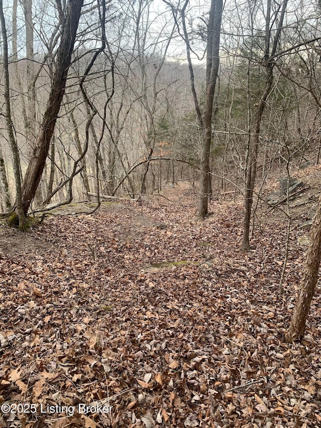 0 Old Dunbar Rd, Russell Springs, KY 42642 - photo 13