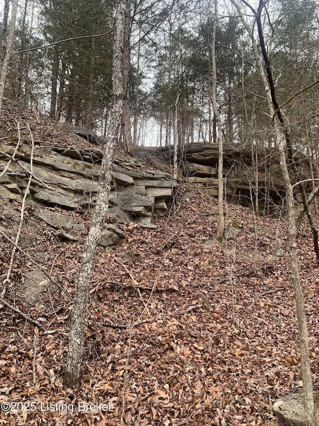 0 Old Dunbar Rd, Russell Springs, KY 42642 - photo 38
