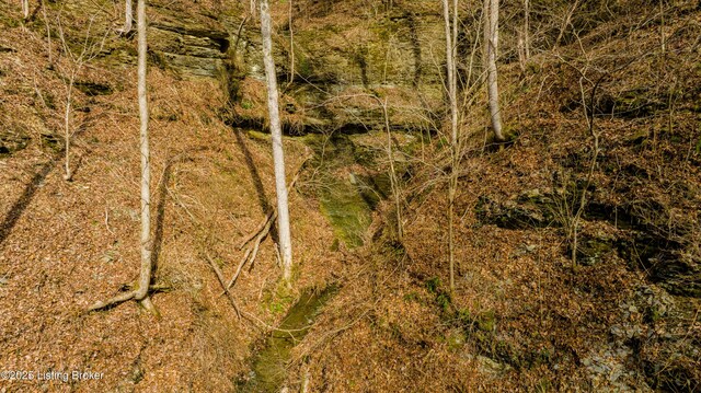 0 Old Dunbar Rd, Russell Springs, KY 42642 - photo 52