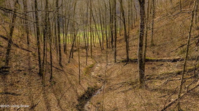 0 Old Dunbar Rd, Russell Springs, KY 42642 - photo 9