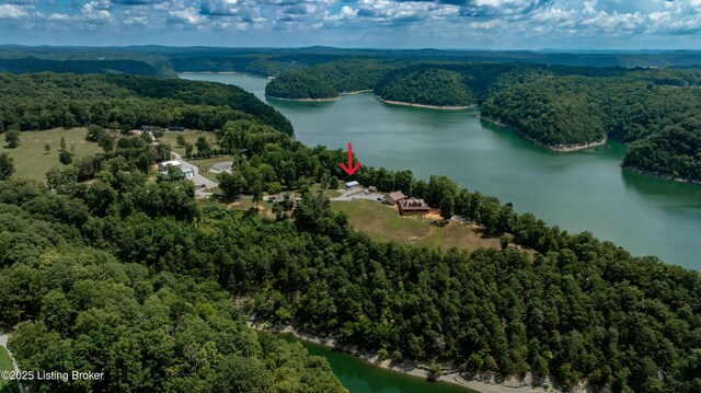 75 Circle Spur Ln, Russell Springs, KY 42642 - photo 11