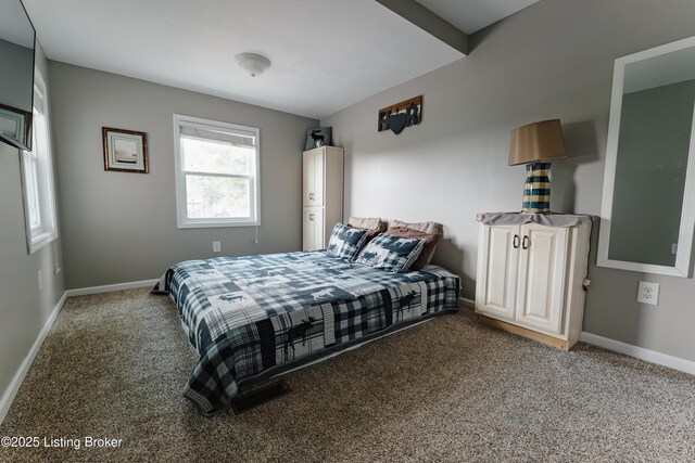 75 Circle Spur Ln, Russell Springs, KY 42642 - photo 50